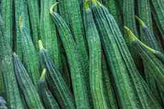 新鲜的的角度丝瓜的角度葫芦丝瓜acutangula罗克西布蔬菜