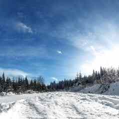 冬天景观交叉国家滑雪小道