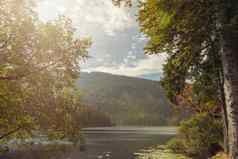 美丽的景观场景湖伟大的arber巴伐利亚