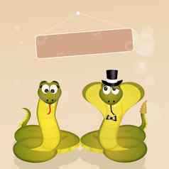 夫妇蛇