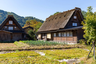 世界遗产白川乡