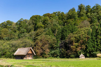 白川乡村