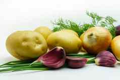 分类新鲜的生蔬菜白色背景选择包括土豆绿色洋葱大蒜莳萝