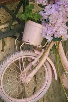 古董粉红色的自行车篮子花