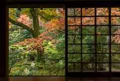 日本体系结构秋天
