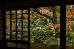 日本木房子秋天景观