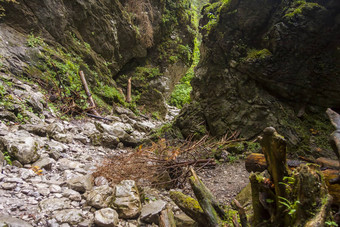 峡谷克拉科夫塔特拉山国家公园波兰