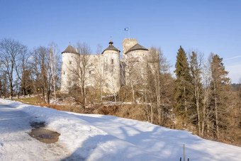尼兹卡城堡波兰