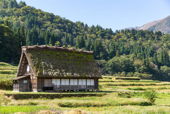 白川乡村