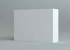 现实的白色空包装纸板盒子