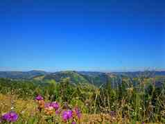 和平绿色山覆盖草清晰的蓝色的天空