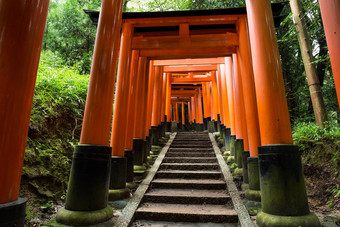 伏见inari神社鸟居寺庙《京都议定书》日本