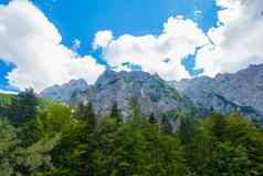 美丽景观山云山峰森林前景