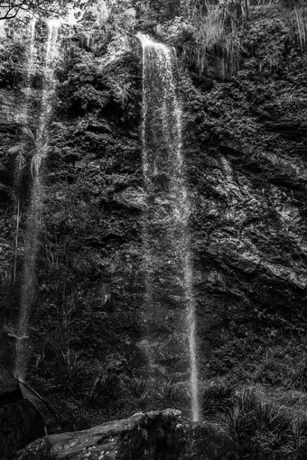 双胞胎<strong>瀑布瀑布</strong>位于斯普林布鲁克国家公园