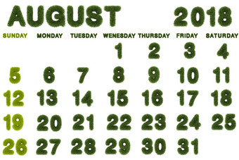日历8月白色背景呈现绿色