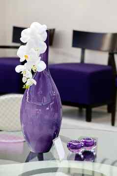 紫色的花瓶花