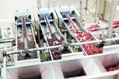 冻树莓处理业务