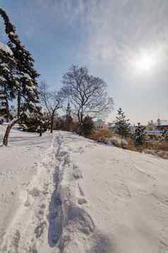 视图部分城市雪