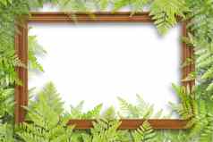 木框架绿色叶子框架白色背景警察