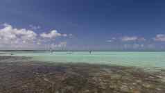 博内尔岛加勒比海帆板运动环礁湖索罗本