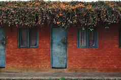 尼泊尔简单的红色的房子蓝色的窗户门白