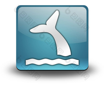 图标<strong>按钮</strong>pictogram鲸鱼