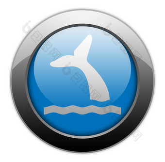 图标按钮pictogram<strong>鲸鱼</strong>