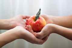 苹果友谊和平爱孩子们的手
