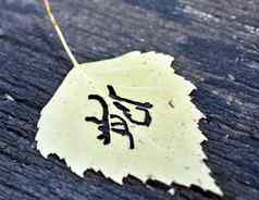 黄色的秋天叶模式类似的日本汉字签名秋天