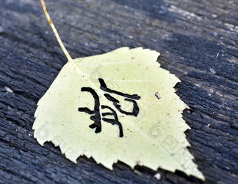 黄色的秋天叶模式类似的日本汉字签名秋天
