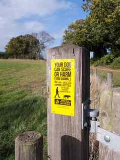 农场狗标志警告恐慌伤害农场动物黄色的木