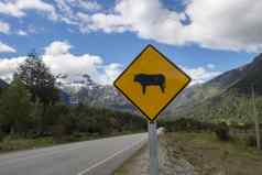 牛警告路标志公路南国