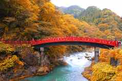 新京桥秋天季节日兴日本