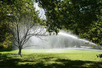 水滴喷水灭火系统抓树