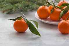 新鲜的橘子叶子分支冷杉树俄罗斯圣诞节一年传统