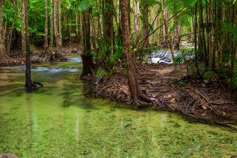 清洁河流动丛林泰国甲米provinc