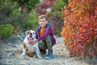 可爱的英俊的时尚的男孩享受色彩鲜艳的秋天公园朋友红色的白色英语牛狗中的主要场景漂亮的男孩斗牛犬森林年轻的少年微笑