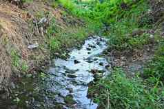 小山水流流动森林