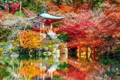 醍寺庙秋天《京都议定书》日本秋天季节