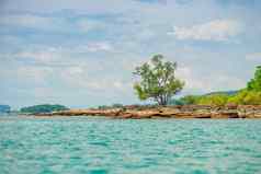 树废弃的岩石海滩热带无人居住的岛