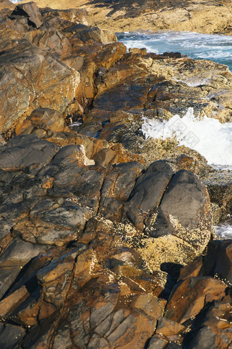 阳光海滩努沙阳光海岸