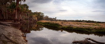 <strong>湿地沼泽</strong>米亚卡河状态公园