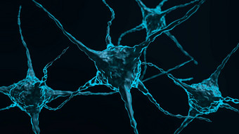神经元细胞发光的链接结
