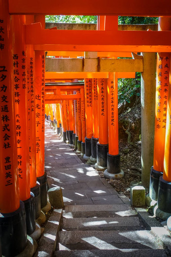 伏见inari大社鸟居《京都议定书》日本