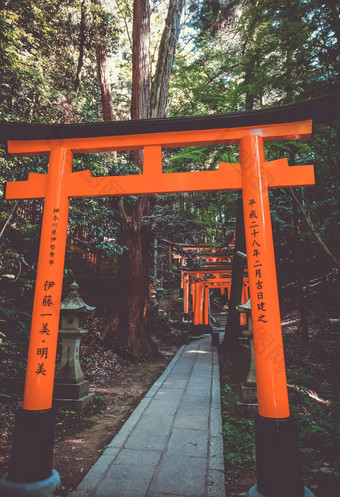 伏见inari大社鸟居《京都议定书》日本