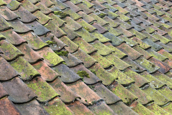 色彩斑斓的屋顶瓷砖农场