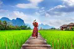 年轻的女人走木路径绿色大米场抓住Vieng老挝