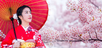 亚洲女人穿日本传统的<strong>和服樱</strong>桃开花春天日本
