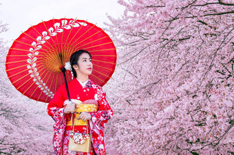 亚洲女人穿<strong>日本</strong>传统的和服樱桃开花春天<strong>日本</strong>