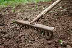 土壤谎言花园耙特写镜头概念园艺